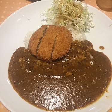 実際訪問したユーザーが直接撮影して投稿した芝田カレーピッコロ 阪急かっぱ横丁店の写真