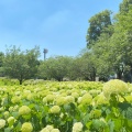 実際訪問したユーザーが直接撮影して投稿した下九沢公園相模原北公園の写真