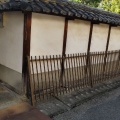 実際訪問したユーザーが直接撮影して投稿した北八木町寺円立寺の写真