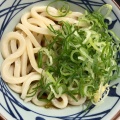 実際訪問したユーザーが直接撮影して投稿した中央うどん丸亀製麺 ビナウォーク店の写真