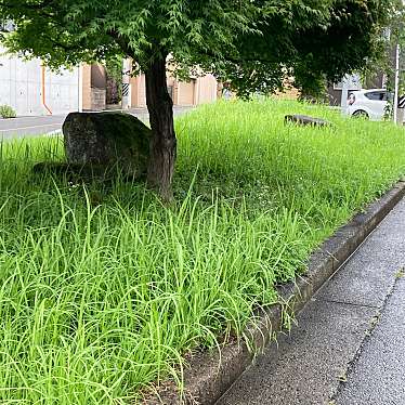 実際訪問したユーザーが直接撮影して投稿した鳴海町公園薬師山街園の写真