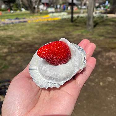 実際訪問したユーザーが直接撮影して投稿した南加瀬和菓子おだんごのマルヤの写真