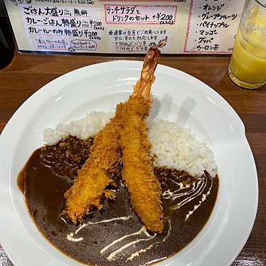 実際訪問したユーザーが直接撮影して投稿した藤沢カレー魚とカレーのお店の写真