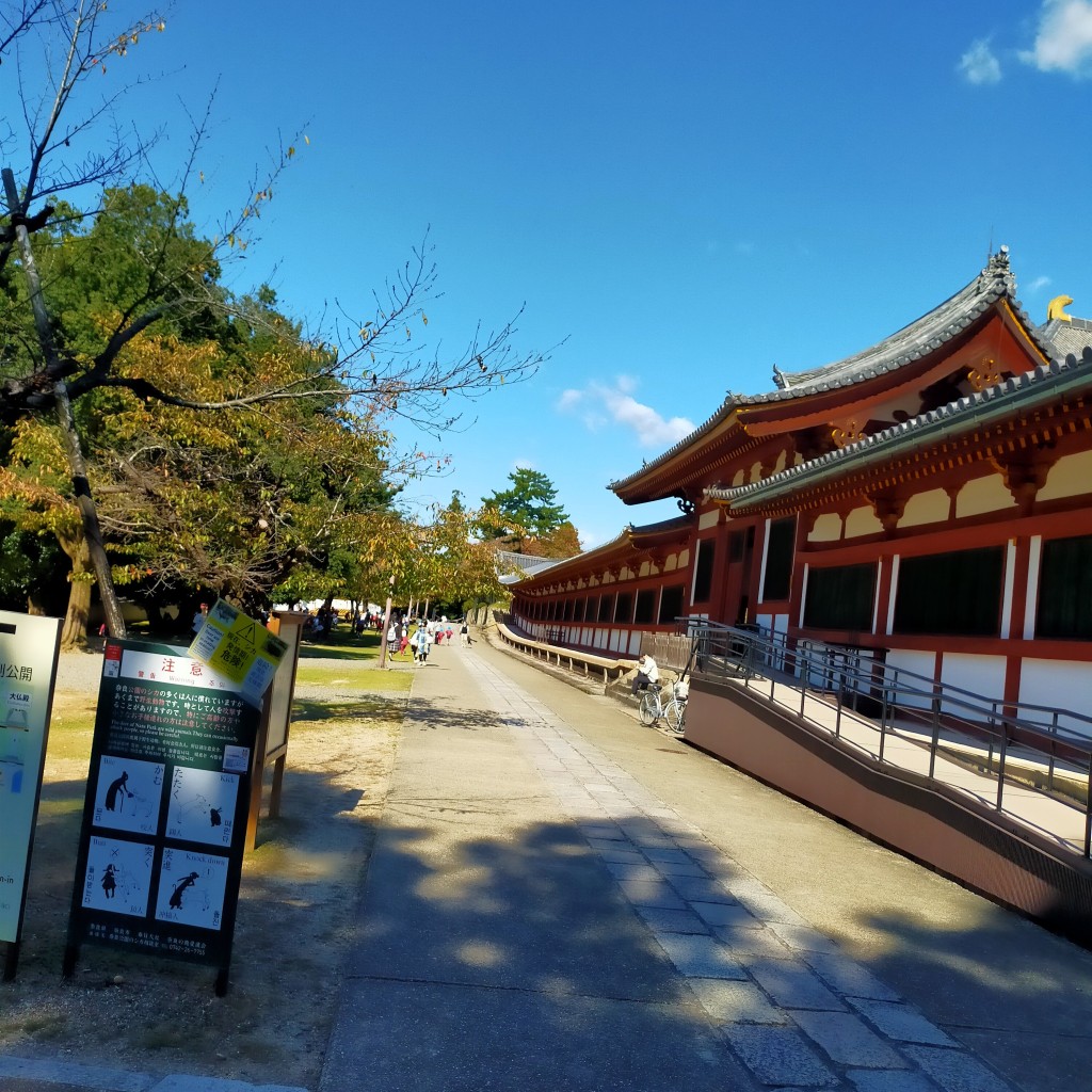 実際訪問したユーザーが直接撮影して投稿した雑司町寺東大寺指図堂の写真