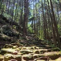 実際訪問したユーザーが直接撮影して投稿した木本町山 / 峠松本峠の写真