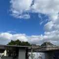 実際訪問したユーザーが直接撮影して投稿した茶屋町博物館京都国立博物館の写真