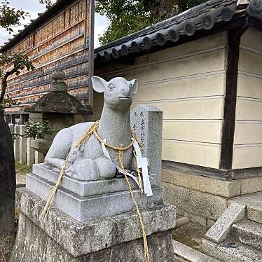 sarafinaさんが投稿した草津神社のお店立木神社/タチキジンジャの写真