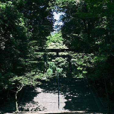 mii_41さんが投稿した神宮町神社のお店近江神宮/オウミ ジングウの写真