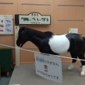 実際訪問したユーザーが直接撮影して投稿した根岸台博物館馬の博物館の写真