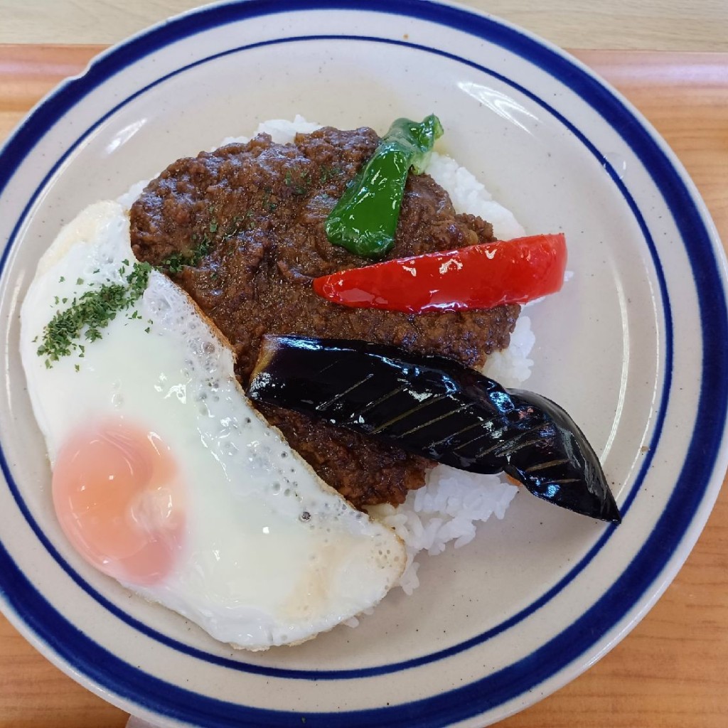 テーマンさんが投稿した長野定食屋のお店日本晴食堂/ニホンバレショクドウの写真