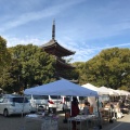 実際訪問したユーザーが直接撮影して投稿した甚目寺寺甚目寺の写真