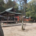 実際訪問したユーザーが直接撮影して投稿した紫野今宮町神社紫野 今宮神社の写真