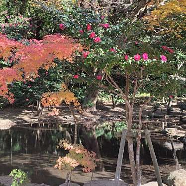 実際訪問したユーザーが直接撮影して投稿した宮中公園鹿島神宮園地 御手洗公園の写真