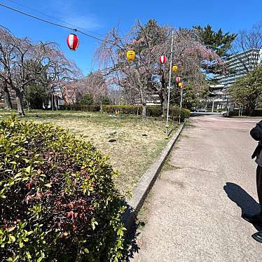 榴岡公園のundefinedに実際訪問訪問したユーザーunknownさんが新しく投稿した新着口コミの写真