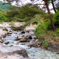 実際訪問したユーザーが直接撮影して投稿した草津公園西の河原公園の写真