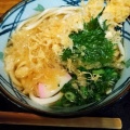 天ぷらうどん - 実際訪問したユーザーが直接撮影して投稿した夏目うどんうどんの雅の写真のメニュー情報