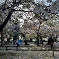 実際訪問したユーザーが直接撮影して投稿した宮元町公園高崎公園の写真