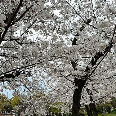 池島公園のundefinedに実際訪問訪問したユーザーunknownさんが新しく投稿した新着口コミの写真