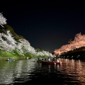 実際訪問したユーザーが直接撮影して投稿した麹町公園千鳥ヶ淵公園の写真