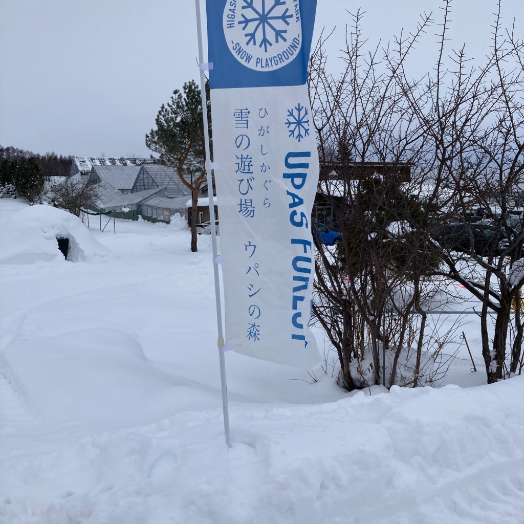 実際訪問したユーザーが直接撮影して投稿した25号公園雪の遊び場 ウパシの森の写真