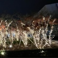 実際訪問したユーザーが直接撮影して投稿した南幸広場ニュウマン横浜 屋上広場 Gardenの写真