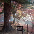 実際訪問したユーザーが直接撮影して投稿した見祢山神社土津神社の写真