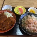 越前おろしそばとミニソースカツ丼セット - 実際訪問したユーザーが直接撮影して投稿した順化そば越前そば 見吉屋の写真のメニュー情報