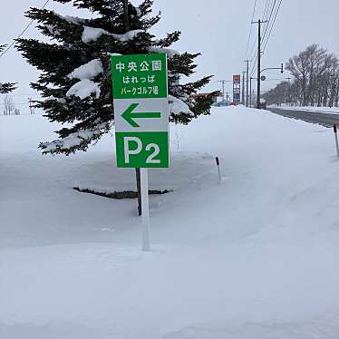 南幌中央公園のundefinedに実際訪問訪問したユーザーunknownさんが新しく投稿した新着口コミの写真