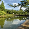 実際訪問したユーザーが直接撮影して投稿した馬場町公園鶴岡公園の写真