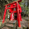 実際訪問したユーザーが直接撮影して投稿した関之尾町神社川上神社の写真