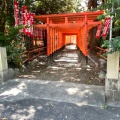 実際訪問したユーザーが直接撮影して投稿した真清田神社三八稲荷神社の写真