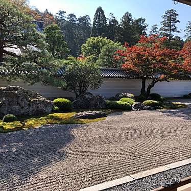 ははみんさんが投稿した南禅寺福地町寺のお店南禅寺/ナンゼンジの写真