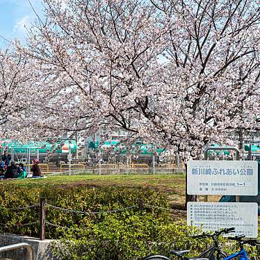 実際訪問したユーザーが直接撮影して投稿した新川崎公園新川崎ふれあい公園の写真