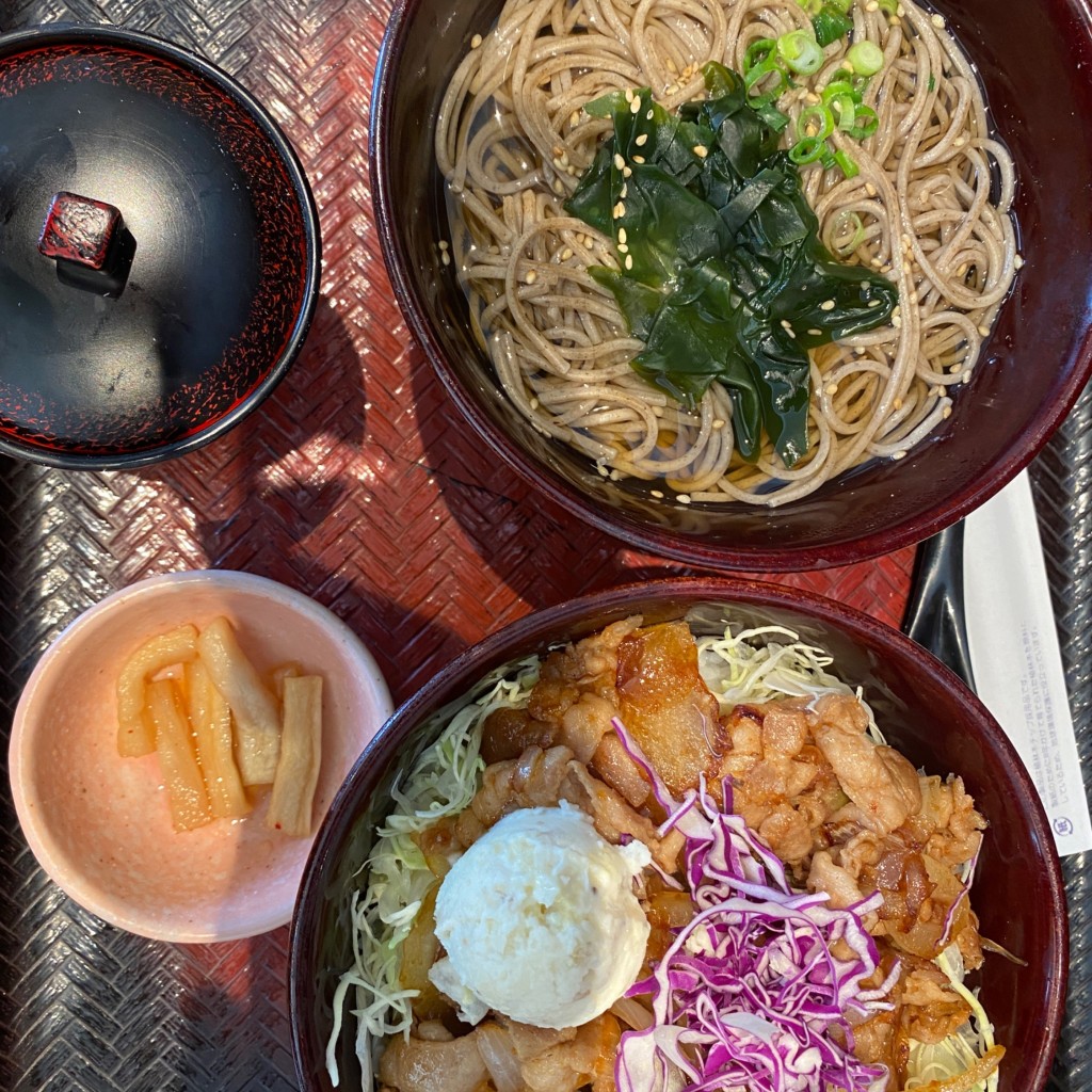 ユーザーが投稿した[麺セット]豚の生姜焼き丼の写真 - 実際訪問したユーザーが直接撮影して投稿した光が丘定食屋大戸屋 光が丘店の写真