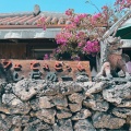 実際訪問したユーザーが直接撮影して投稿した町並み島の農村集落の写真