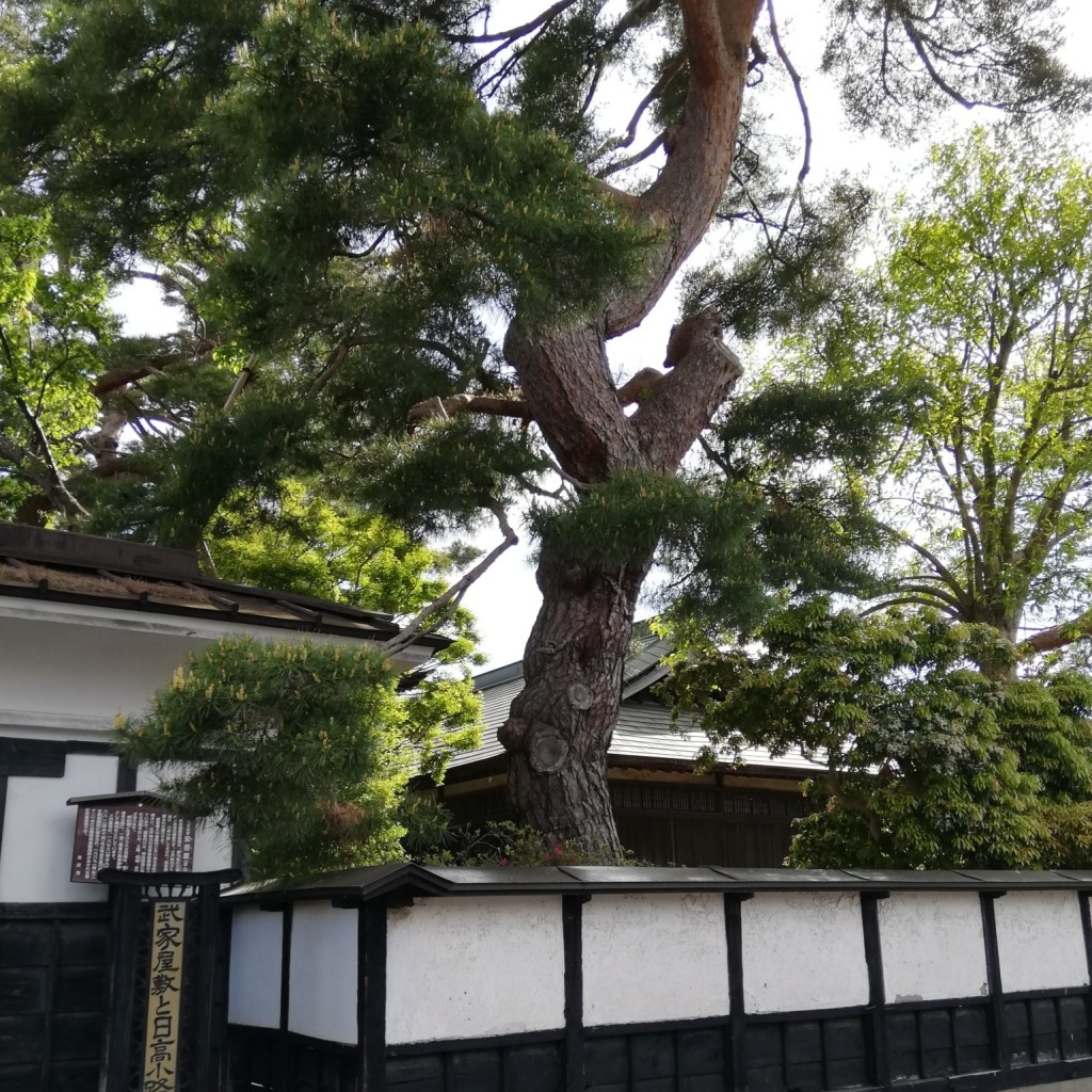 実際訪問したユーザーが直接撮影して投稿した水沢地域名所日高小路の写真