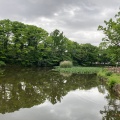 実際訪問したユーザーが直接撮影して投稿した菊名公園菊名池公園の写真