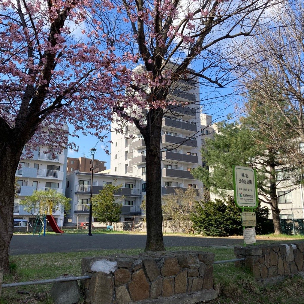 実際訪問したユーザーが直接撮影して投稿した北二十条西公園幌北日の出公園の写真