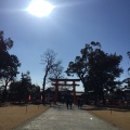 実際訪問したユーザーが直接撮影して投稿した上賀茂本山神社上賀茂神社の写真