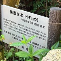 実際訪問したユーザーが直接撮影して投稿した森脇神社葛城一言主神社の写真