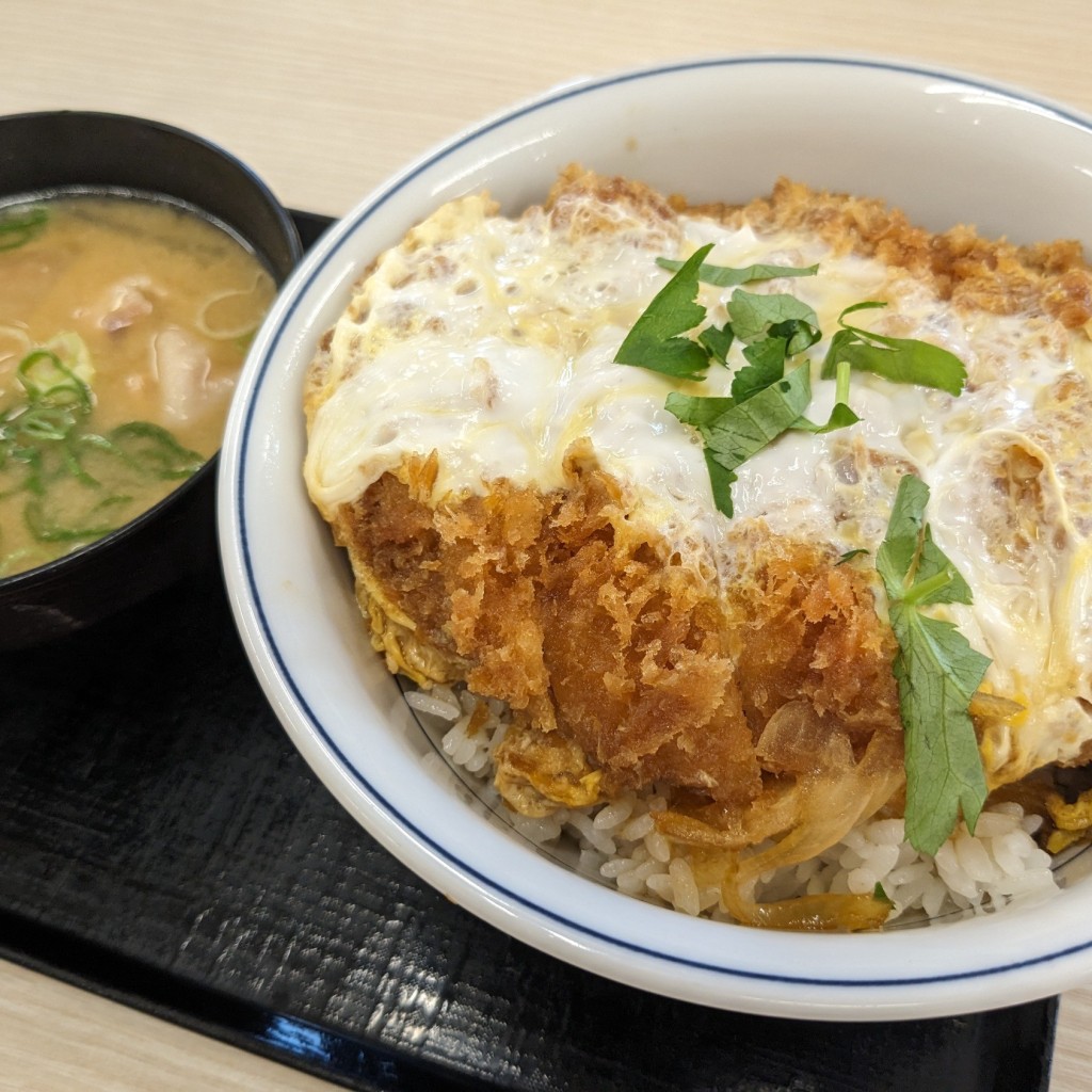 ユーザーが投稿したカツ丼(竹)の写真 - 実際訪問したユーザーが直接撮影して投稿した白金町とんかつかつや 千葉市原白金店の写真