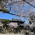 実際訪問したユーザーが直接撮影して投稿した粉河寺粉河寺の写真