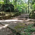 実際訪問したユーザーが直接撮影して投稿した成田公園成田山公園の写真