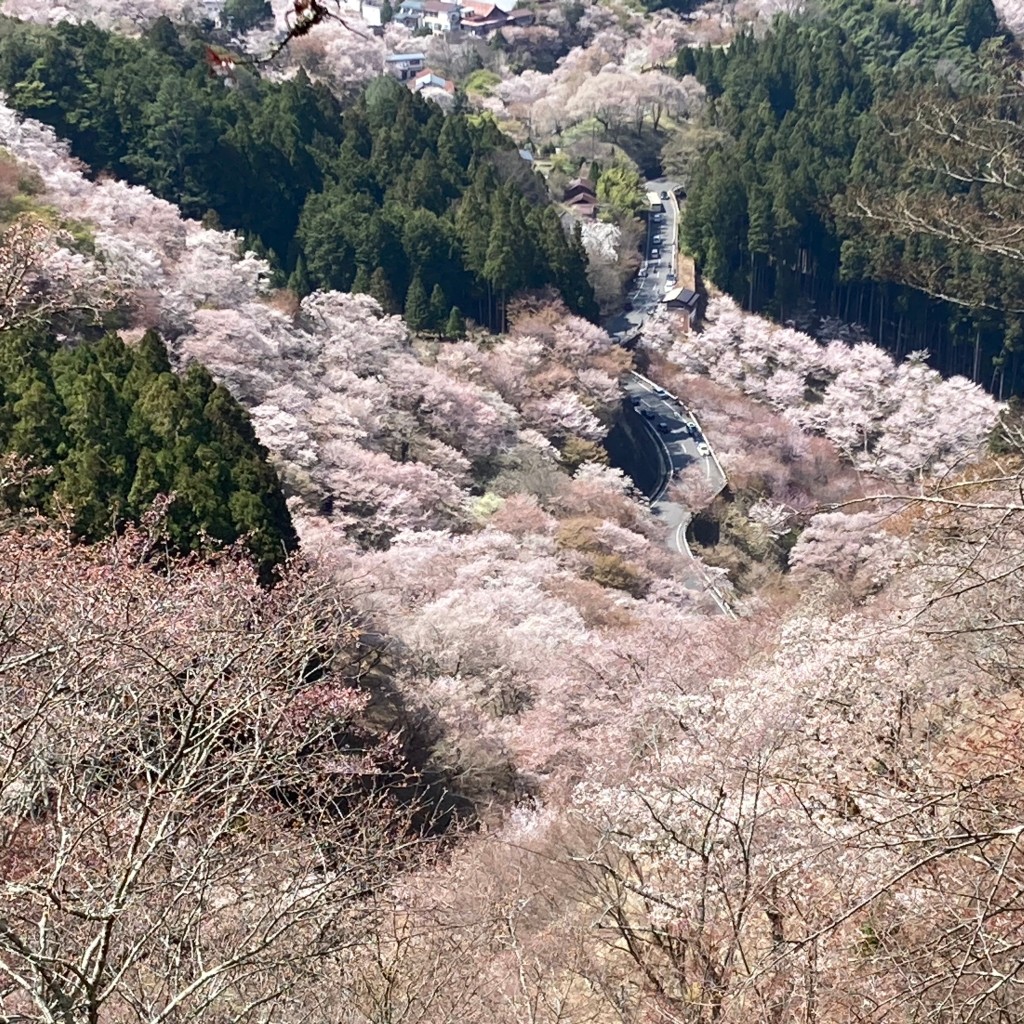 ユーザーが投稿したつけ麺200の写真 - 実際訪問したユーザーが直接撮影して投稿した清水ラーメン専門店豚骨中華そば がんたれの写真