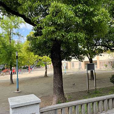 実際訪問したユーザーが直接撮影して投稿した千代崎公園松島公園の写真