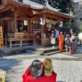 実際訪問したユーザーが直接撮影して投稿した連雀町神社川越 熊野神社の写真