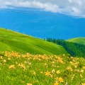 実際訪問したユーザーが直接撮影して投稿した北山高原車山高原の写真