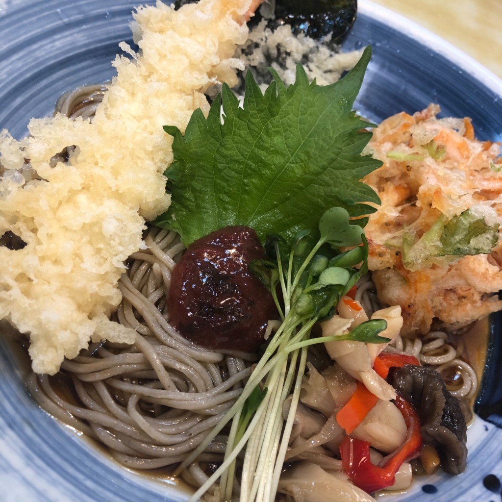 ユーザーが投稿した海老おろしそばの写真 - 実際訪問したユーザーが直接撮影して投稿した立部和食 / 日本料理和食麺処サガミ 松原店の写真