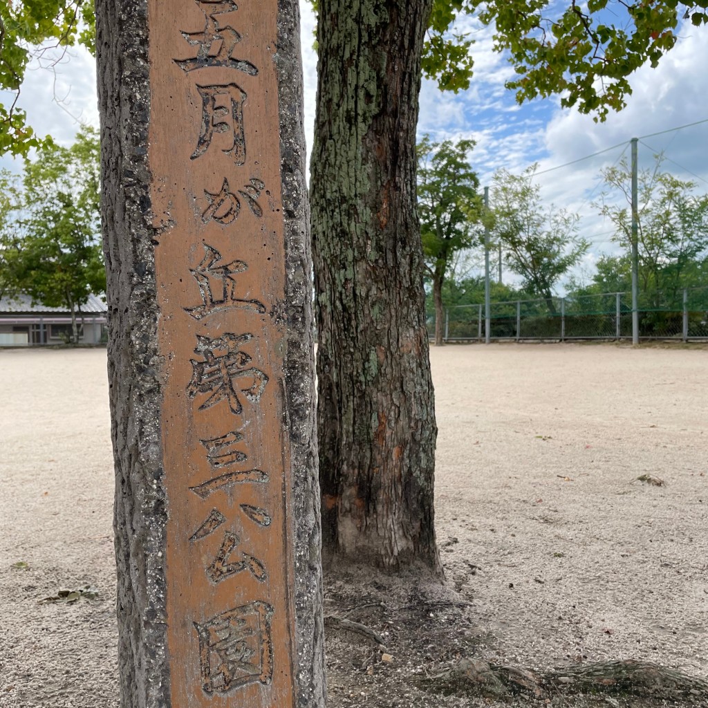 実際訪問したユーザーが直接撮影して投稿した五月が丘公園第三公園の写真