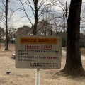 実際訪問したユーザーが直接撮影して投稿した柏の葉公園柏の葉公園 冒険のトリデの写真